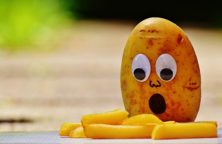 potatoes, fries, grief-1448420.jpg