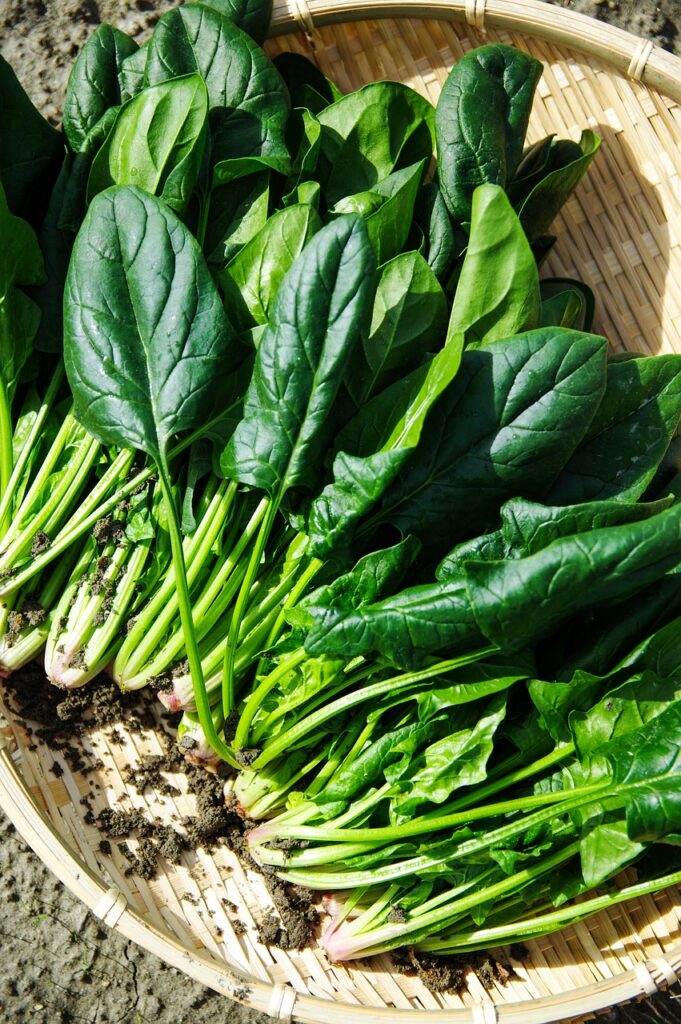 vegetable, spinach, green-1125420.jpg